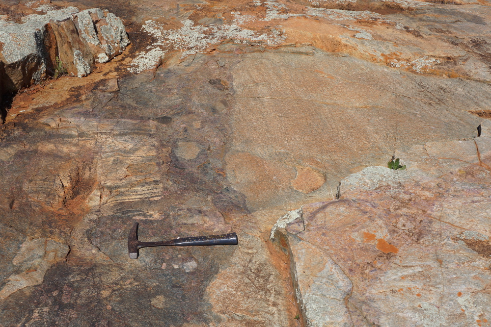 Breccia with possible pseudotachylite and entrained clasts