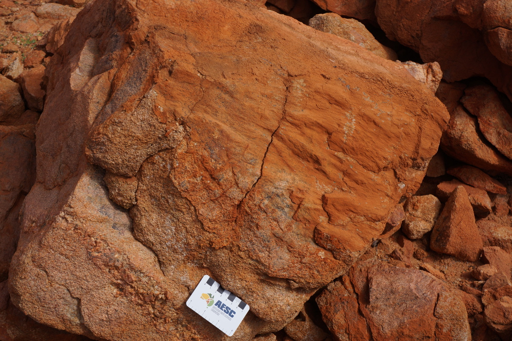 Shatter cones in Yarrabubba Granite