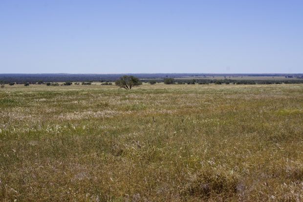 View to east across the Yallalie Impact Structure